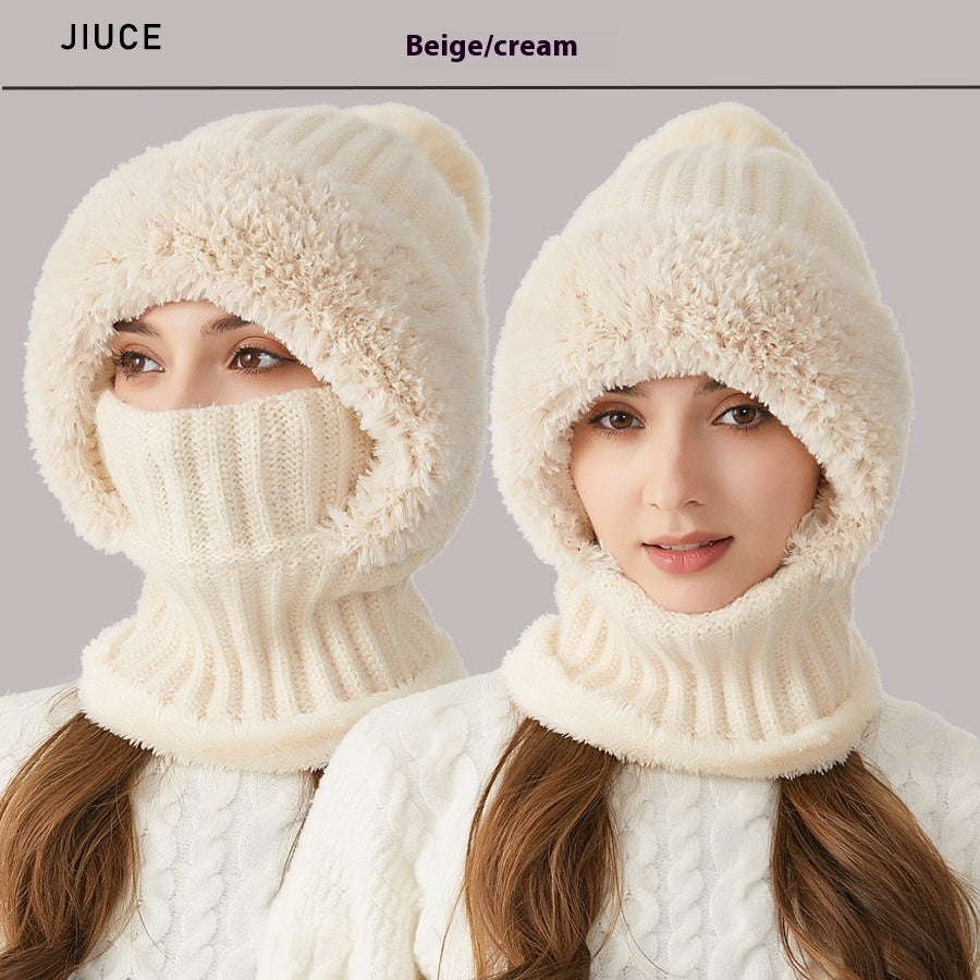 Winter Protection Mask