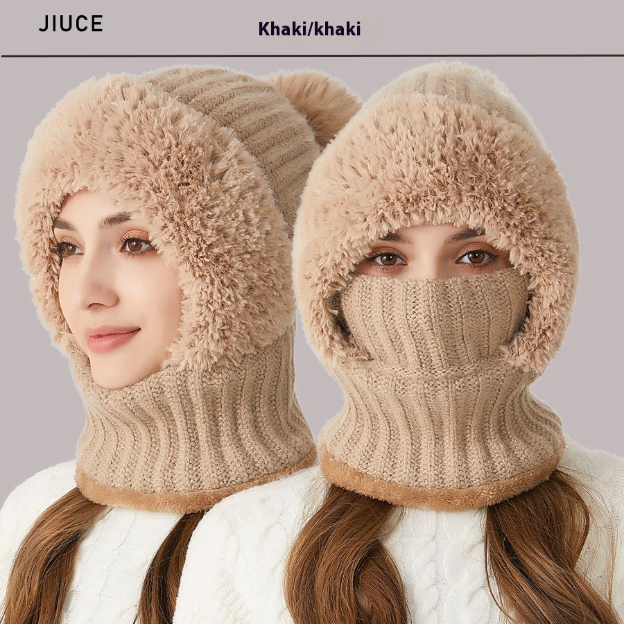Winter Protection Mask