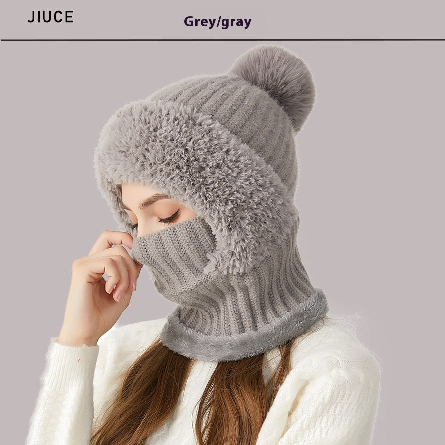 Winter Protection Mask